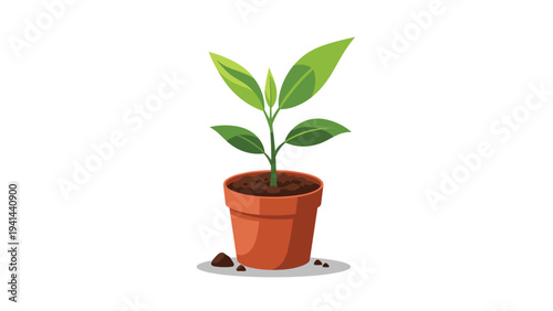 Vibrant small green plant with fresh leaves growing in a terracotta pot, symbolizing new beginnings and natural growth.