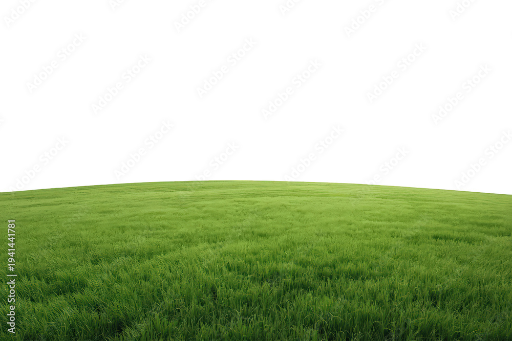 Obraz premium Green grass covering a gently sloping hill, forming an environmental surface element for design on a transparent background