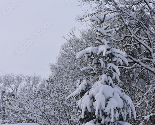 Schwerer Schnee 7