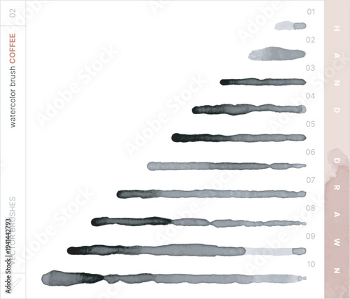 Vector Brushes. Coffee Watercolor Brush.