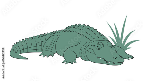 Calm green alligator rests peacefully on the ground beside a patch of grass, depicting a relaxed reptilian creature.