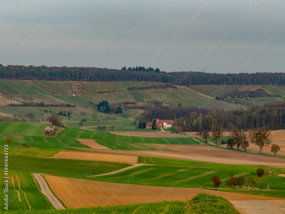 Fototapeta premium Hügelige Agrarlandschaft im Frühjahr