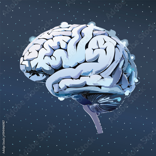 3d rendered illustration of a brain
