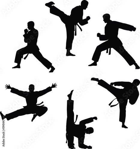 Martial arts fighters performing karate and taekwondo kicks, punches and jumping techniques silhouette set representing combat sport training, discipline and self defense isolated on white background