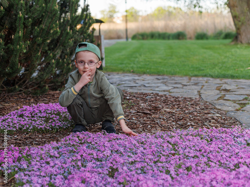 Fotografie Child sitting beside bright carpet of blooming creeping phlox (Phlox subulata) in spring garden, vivid pink and green tones, concept of spring nature, childhood outdoors and seasonal blossom