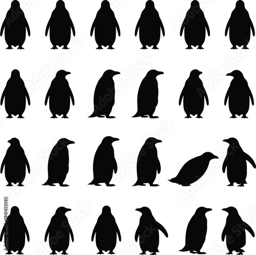 Penguin silhouettes collection set, standing walking penguin poses wildlife bird icons isolated vector illustration design