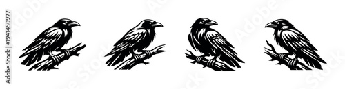 Set of four black and white raven silhouette illustrations on branches