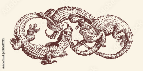 Vintage lizard fight engraving illustration