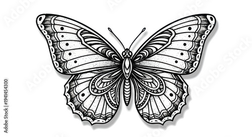 Intricate Black and White Butterfly Illustration with Detailed Wings