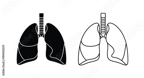 Anatomical illustration depicting human lungs in black and white