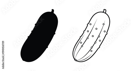 Two cucumber illustrations one solid one with dotted lines detail