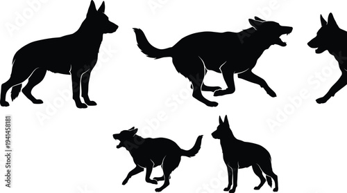 German shepherd dog silhouette set, guard dog poses collection, standing running barking canine, domestic animal vector illustration