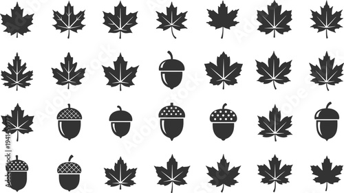 Black silhouettes of maple leaves and acorns on white background