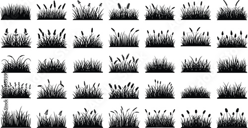 Black silhouettes of various grasses and plants on white background
