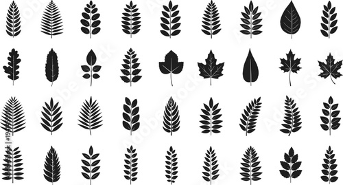 Collection of diverse leaf silhouettes for design