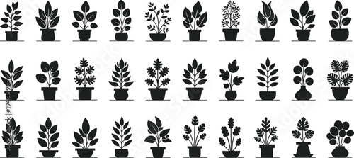 Collection of diverse potted plants in modern stylish silhouettes for design