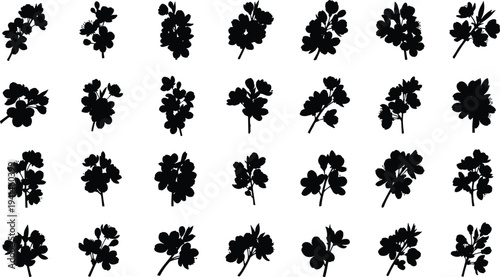 Collection of various black leaf silhouettes on white background