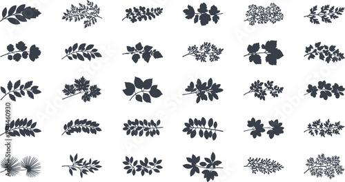Collection of elegant leaf silhouettes for design