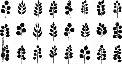 Collection of modern leaf silhouettes for design