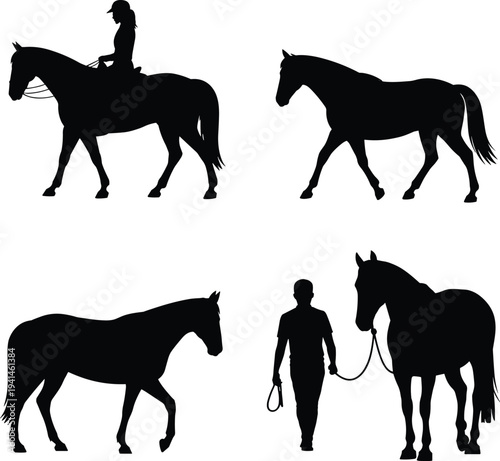 Horse silhouettes with rider and handler, equestrian activities, walking horses, vector illustration for animal, sport, farming, and lifestyle concepts