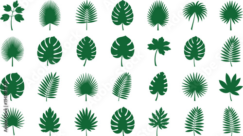 Collection of various green tropical leaves and palm silhouettes