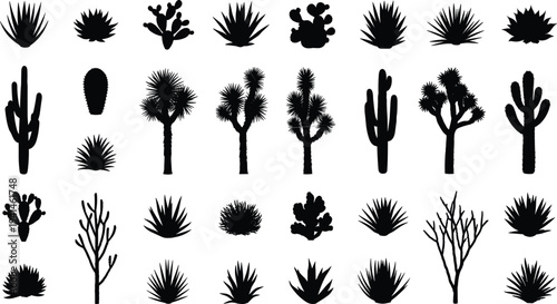 Desert plants and cacti silhouettes for design