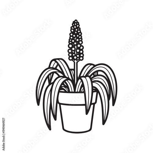 Vector illustration of a potted plant with long leaves and a flower