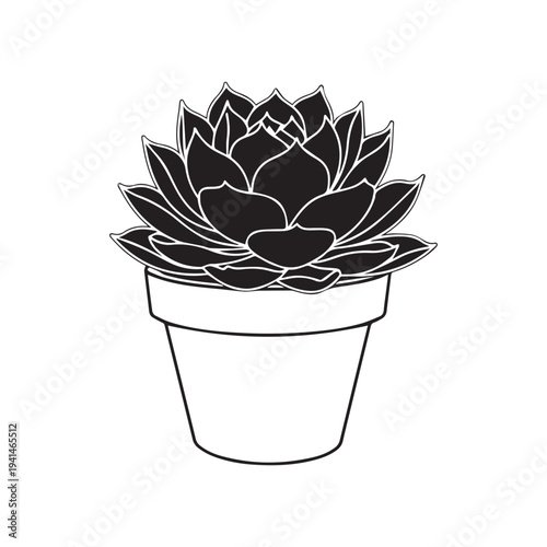 Vector illustration of a black succulent plant in a pot