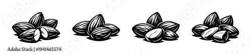 Black and white vector illustration of almond nuts in various arrangements