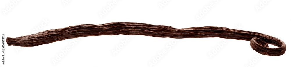 Fototapeta premium Vanilla bean isolated, full depth of field