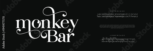 Elegant Font Uppercase Lowercase and Number. Classic Lettering Minimal Fashion Designs. Typography modern serif fonts regular decorative vintage concept. vector illustration
