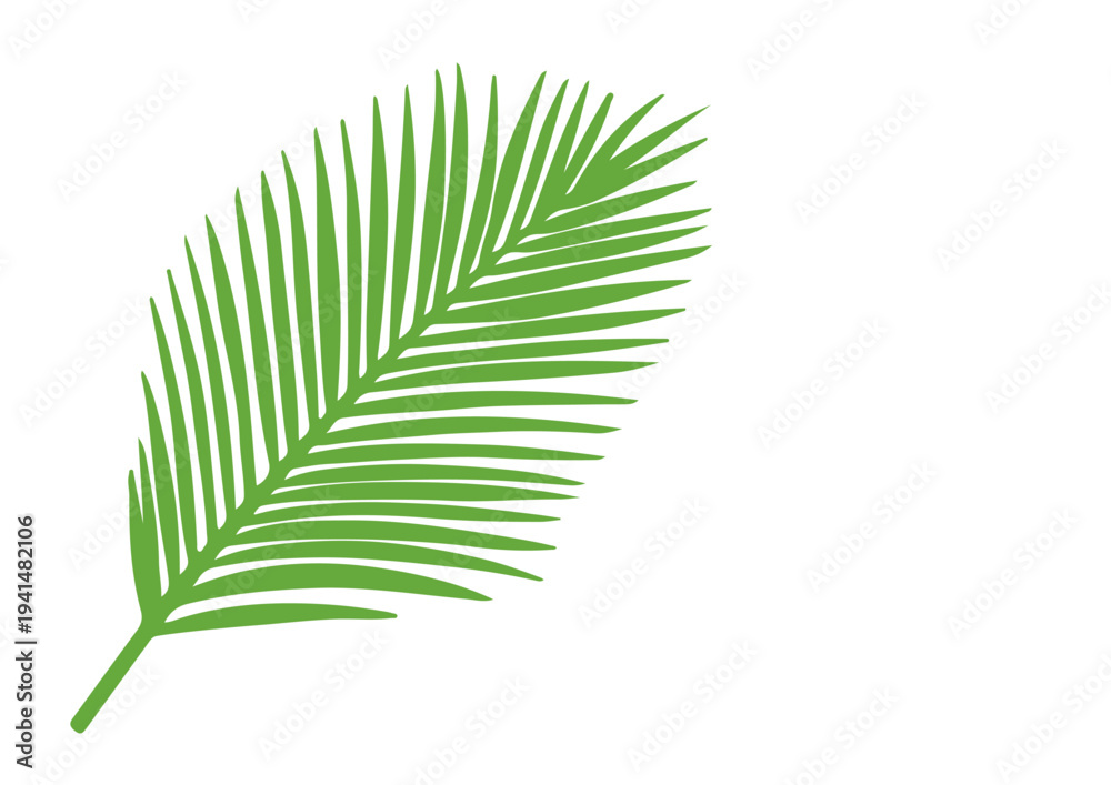 Obraz premium Palm Leaf