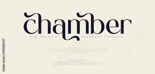 Chamber Elegant Font Uppercase Lowercase and Number. Classic Lettering Minimal Fashion Designs. Typography modern Serif fonts regular decorative vintage concept.

