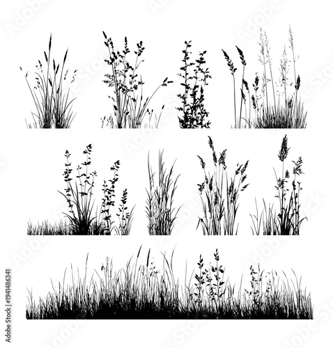 Wild grass black silhouette vector set. Nature botanical elements meadow plants field clumps overgrown weeds natural herb flora cereal spikes landscape border illustration isolated on white