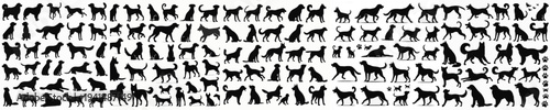 Vector set image silhouette of dog