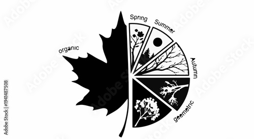 Graphic representation of the four seasons depicted within a leaf shape.