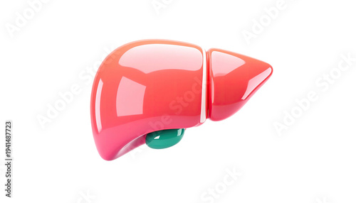 Glossy, cartoon-style depiction of a human liver and gall bladder