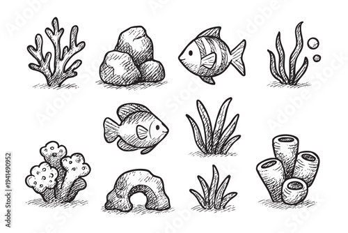 Hand drawn vector illustrations of different aquarium decorations, including fish, plants, stones, and corals, set on a white background. Use for designs, prints, or web graphics.