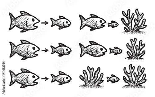 Hand-drawn style black and white illustration showing a sequence of fish eating smaller fish, then seaweed. This image highlights a simple marine ecosystem.