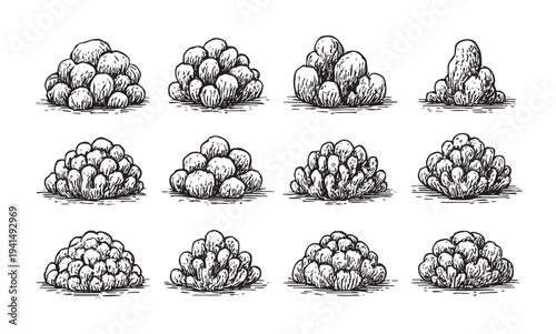 A set of twelve sketched bush illustrations with different designs, in black line art, great for decorative elements or architectural renders.