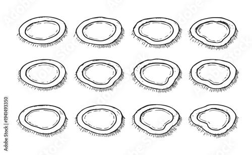 Graphic seamless pattern with hand-drawn coconut halves in black and white; great for textile design, packaging, or food-related content.