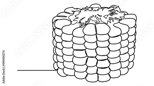 Corn cob drawing, healthy food, organic product, farm harvest, summer vegetable, simple sketch