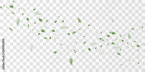 Natural green leaves flying swirl isolated on transparent background, eco nature backdrop PNG