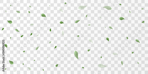 Fresh green leaves flying in air isolated on transparent background, ecology and clean environment concept