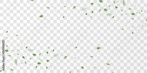 Flying green leaves isolated on transparent background, eco environment and nature concept PNG