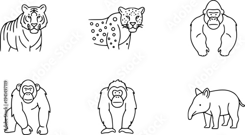 Wild Jungle Animals Line Art Set, Tiger Leopard Gorilla Chimpanzee Orangutan Tapir Outline, Minimal Animal Vector Illustration