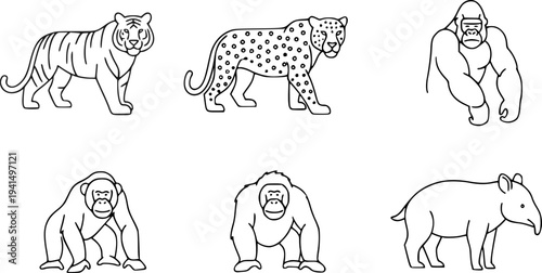 Wild Jungle Animals Line Art Set, Tiger Leopard Gorilla Orangutan Tapir Outline, Minimal Animal Vector Illustration