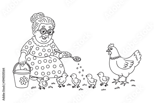 A smiling old woman feeds small baby chicks from a spoon next to a hen