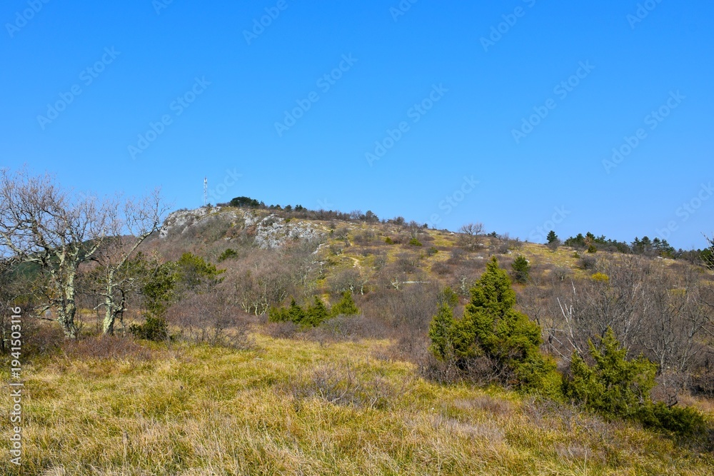 Obraz premium Landscape with grass and bushes in Primorska, Istria, Slovenia