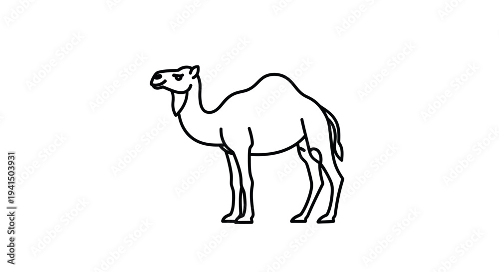 Fototapeta premium Simple Line Drawing of a Camel.